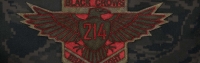 L'escadron 214 Black Crows (Les corbeaux Noirs)